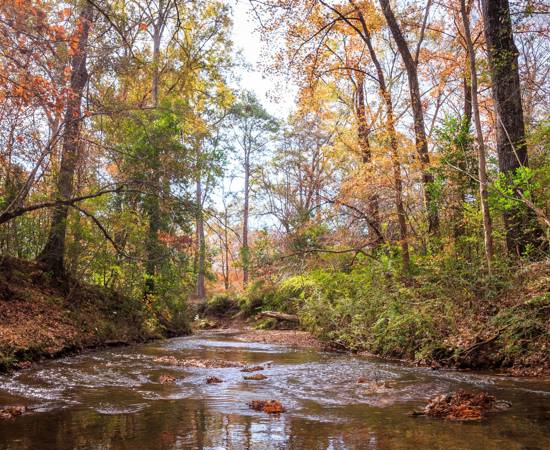 la_nana_bayou_photo_by_ed_rhodes-4757-scaled.jpg