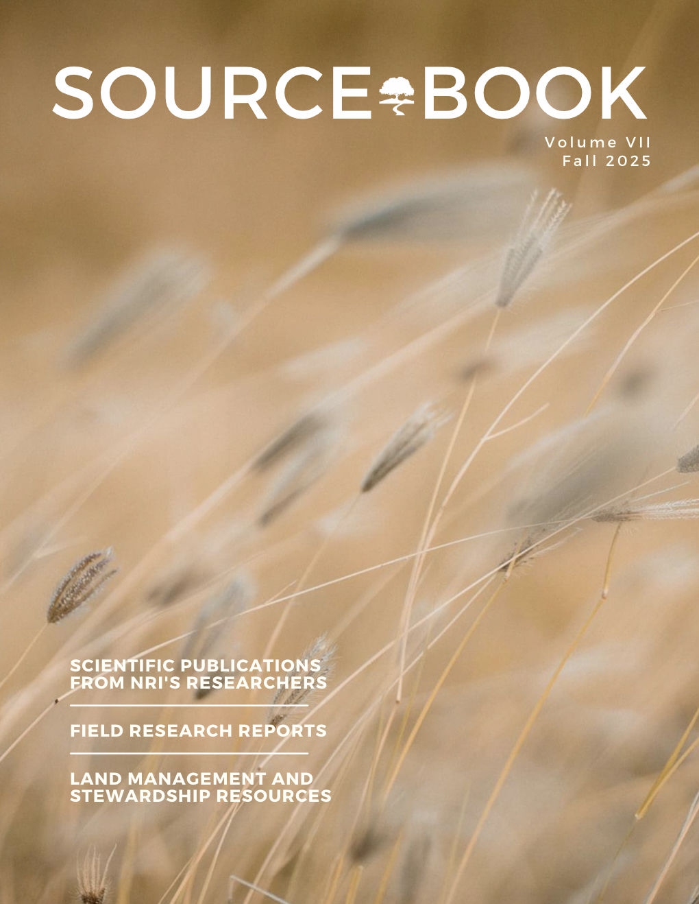 Sourcebook Fall 2025.jpg