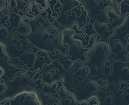 Topographic image.png