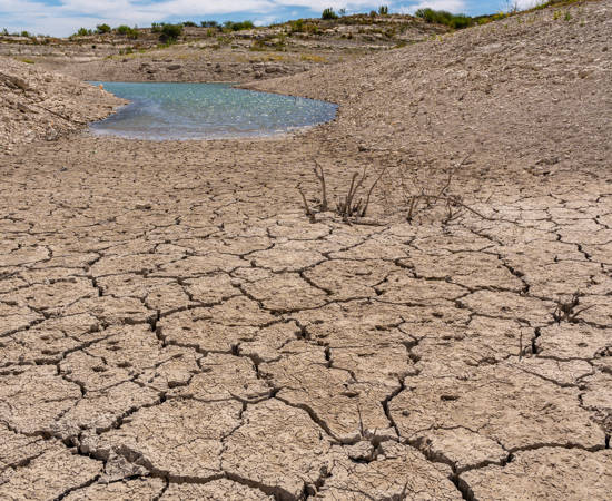 AdobeStock_914194848.jpeg (1)