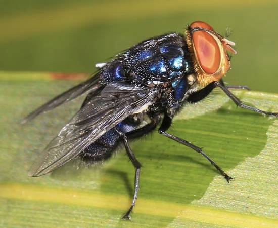 Screenshot 2026-01-13 at 9.19.41 PM.jpg