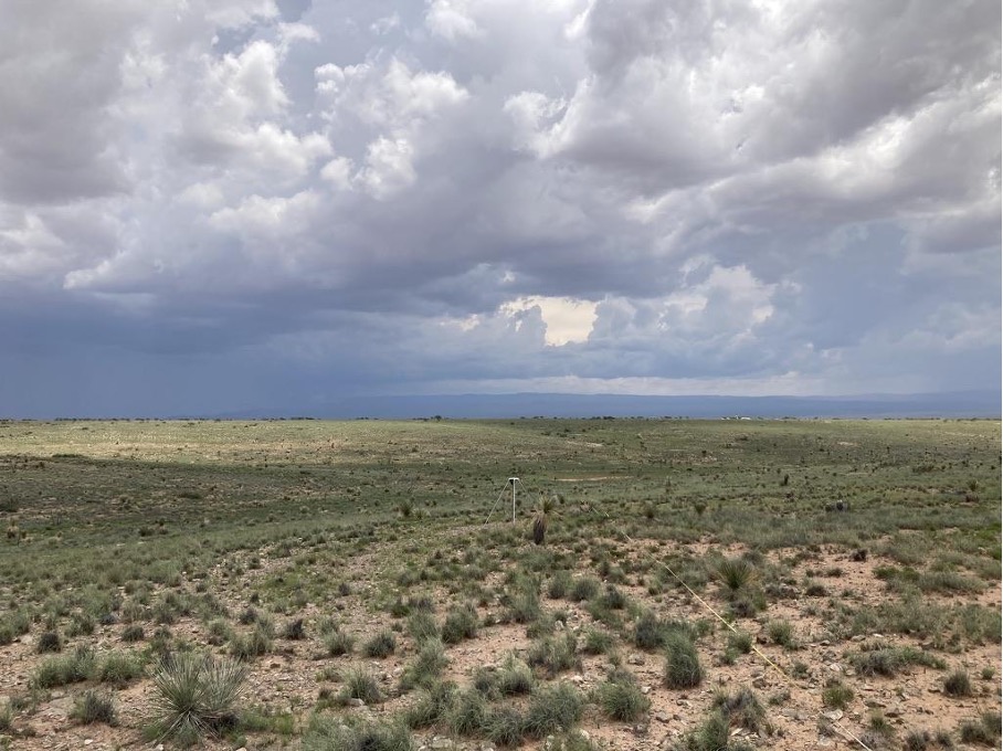 Getting a transect and game camera set up before afternoon monsoon (which later flooded our only road in).