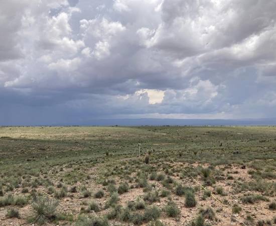 Getting a transect and game camera set up before afternoon monsoon (which later flooded our only road in).