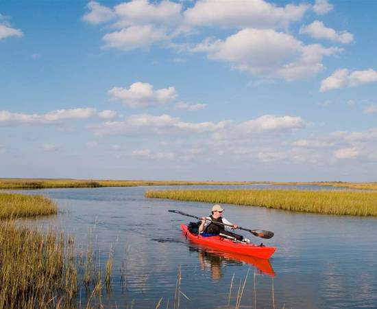 South Atlantic Salt Marsh.jpg
