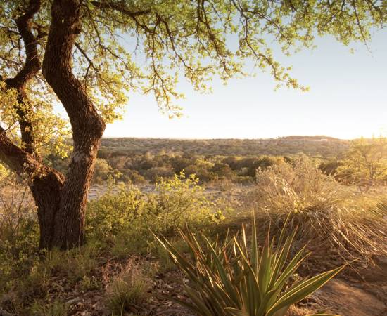 Texas Hill Country Landscape.jpg