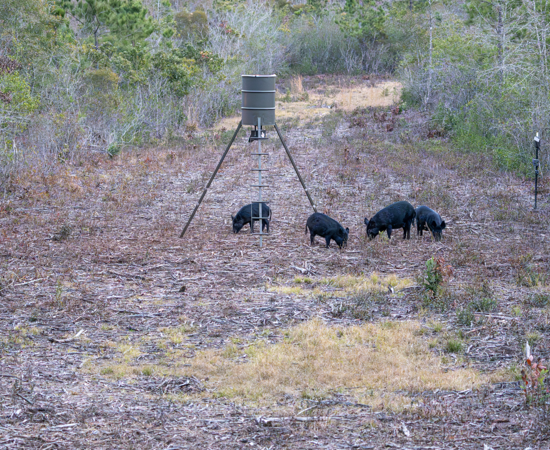 Screenshot 2025-12-17 at 11.11.59 AM.png