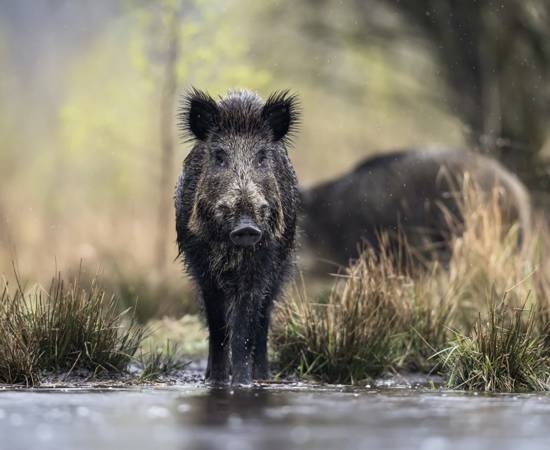 Screenshot 2026-04-05 at 9.58.51 PM.jpg